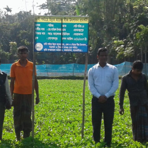 প্রদর্শনী প্লট