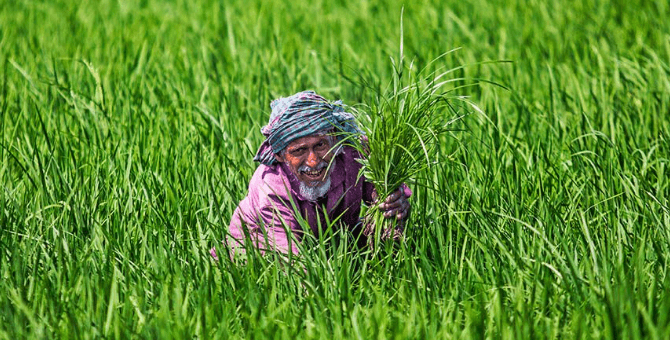 জাতীয় মৌ মেলা ২০১৮